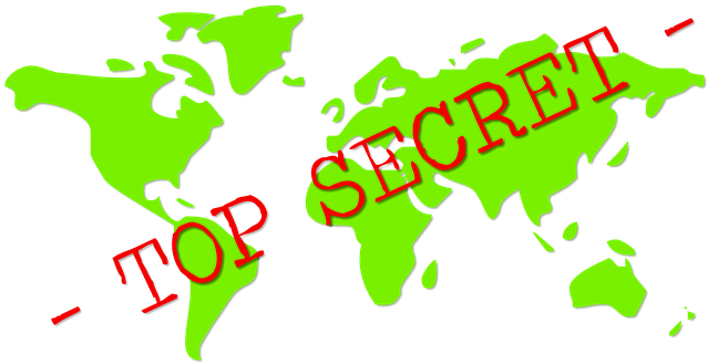 Top Secret Confidential Secret Information - Sass & Belle Reserved For The Dog Cushion (960x501)