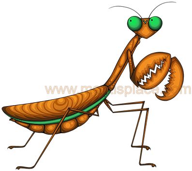 I Have A Tips And Tricks Page For You To Read And Incorporate - I Have A Tips And Tricks Page For You To Read And Incorporate (416x380)