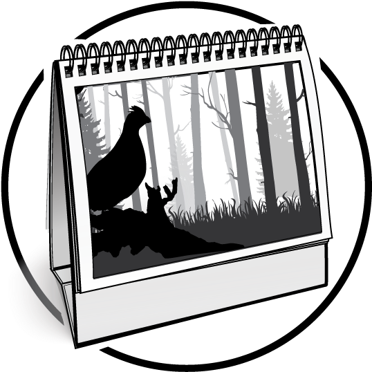 Some Of Our Great Events That Are Right Around The - African Grey (546x543)