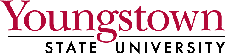 Ygd April Fools' Game Jam 2017 Sponsors - Youngstown State University (800x450)