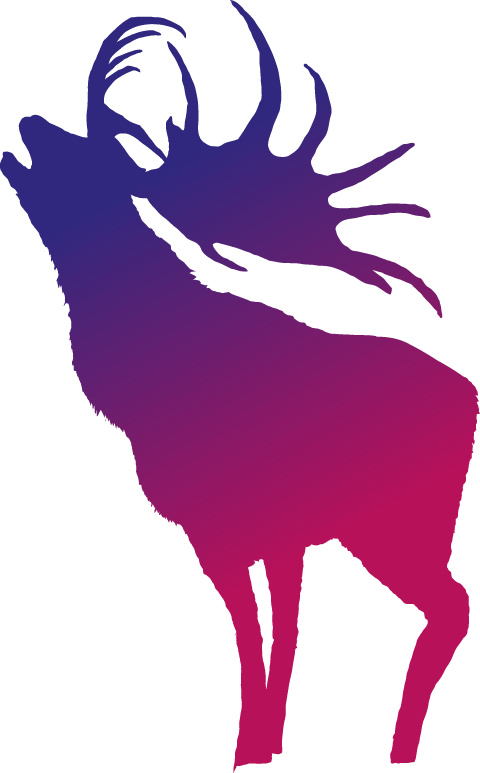 Northern Ireland - Bbc Radio 1's Big Weekend (480x773)