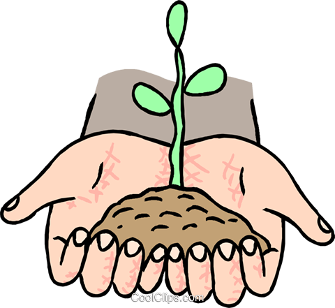 Growth, Seedling Germinating From Soil Royalty Free - Natural Science (480x441)