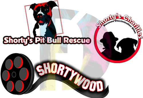 Logo Design For Hugo Mendoza, A Voice Over Artist For - Shorty Rossi (514x350)