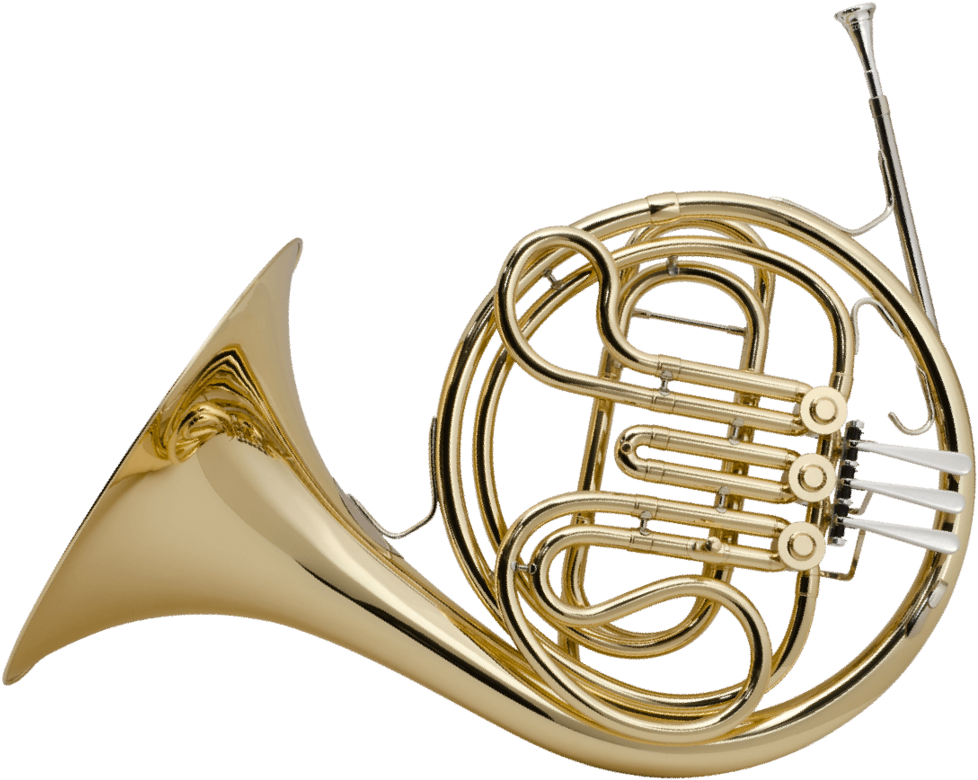 Single French Horn - Single French Horn (1000x808)