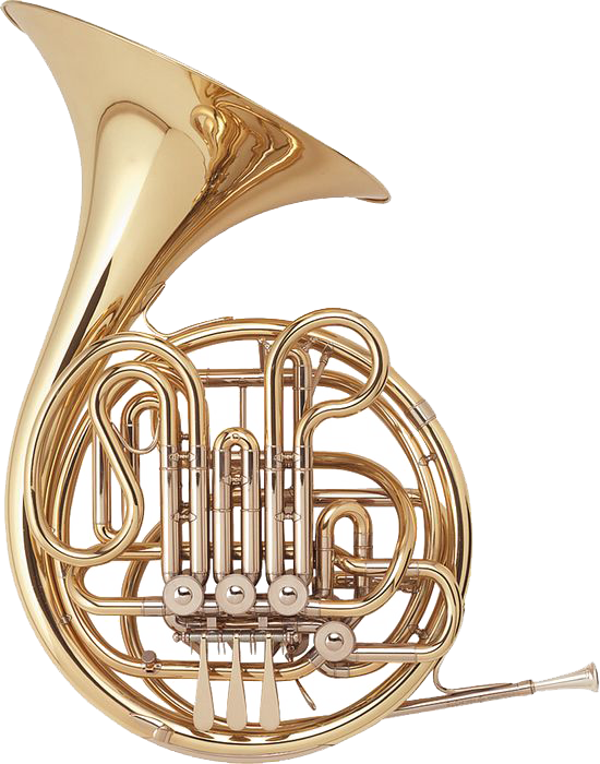 An - Holton H279 French Horn (550x700)