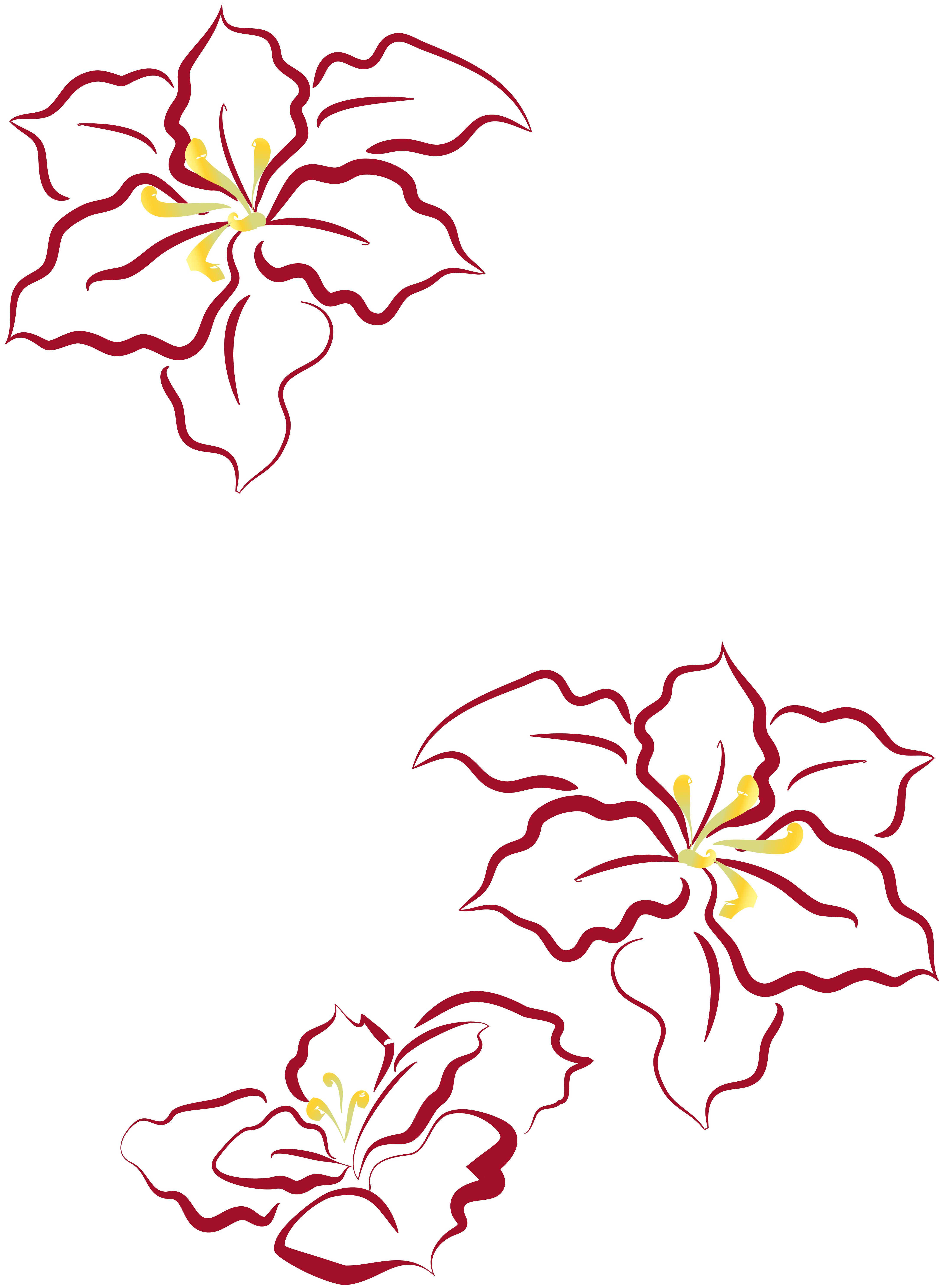Designed For Christmas Decoration With Poinsettia Leaf - Poinsettia (4357x5948)
