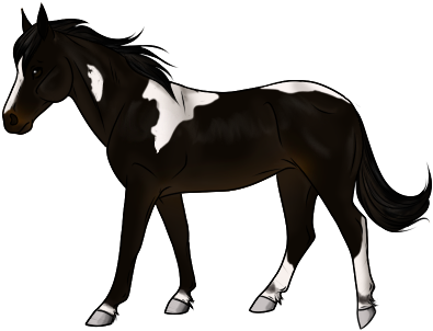 Bay, Bay Roans, And Seal Brown Paint Horses - Safari Ltd (400x400)