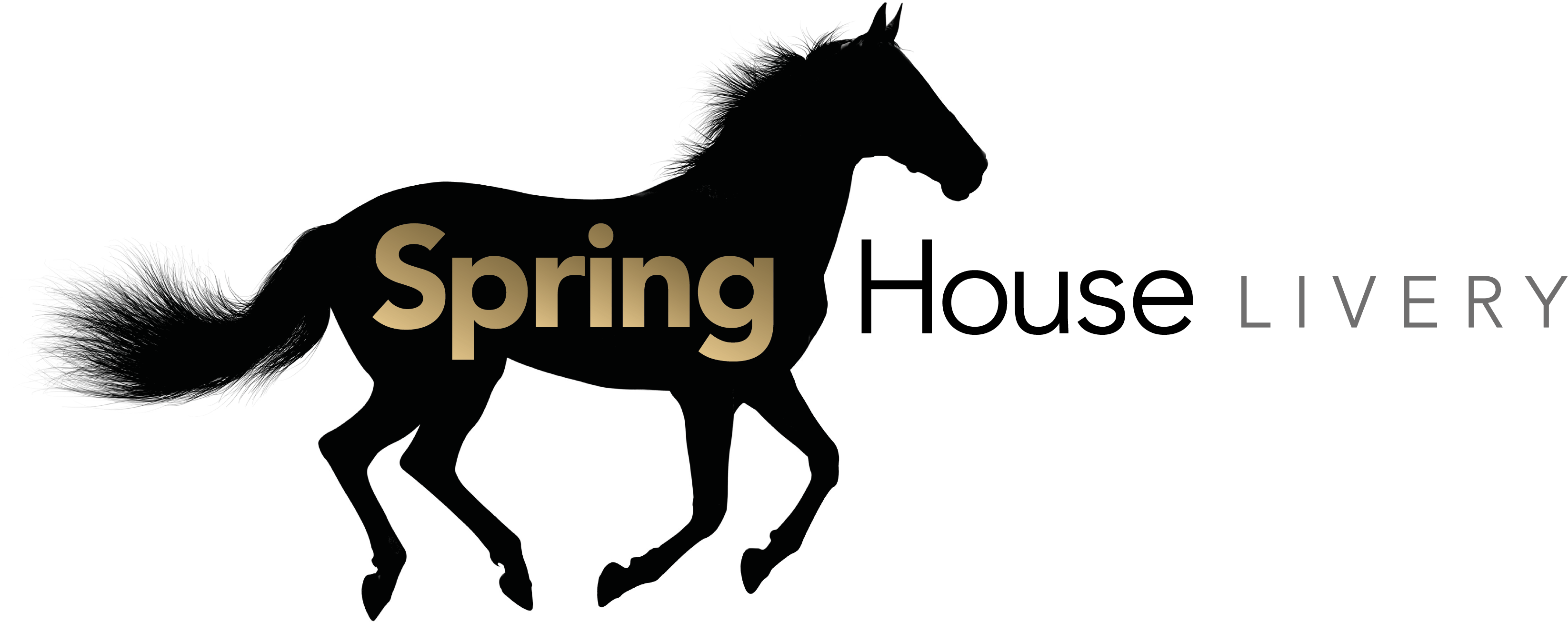 Enquire About Livery Now - Black Horse Inside Coolmore [book] (3292x1354)