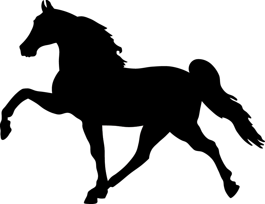 30 - Unicorn Png (854x658)