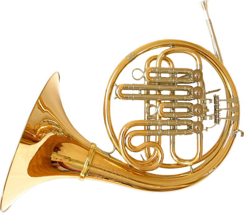 Bb Single French Horn (785x684)