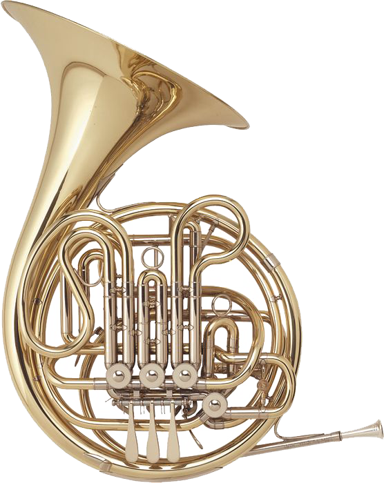 A - Holton H179 French Horn (556x700)