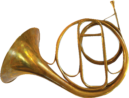 Anne Hunter, Contributing Editor, Is A Writer And Art - Natural Horn Baroque (447x346)