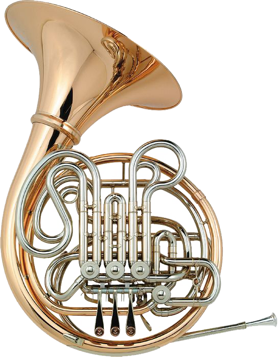 Holton H105 Professional French Horn - Holton H105 Professional French Horn (544x700)