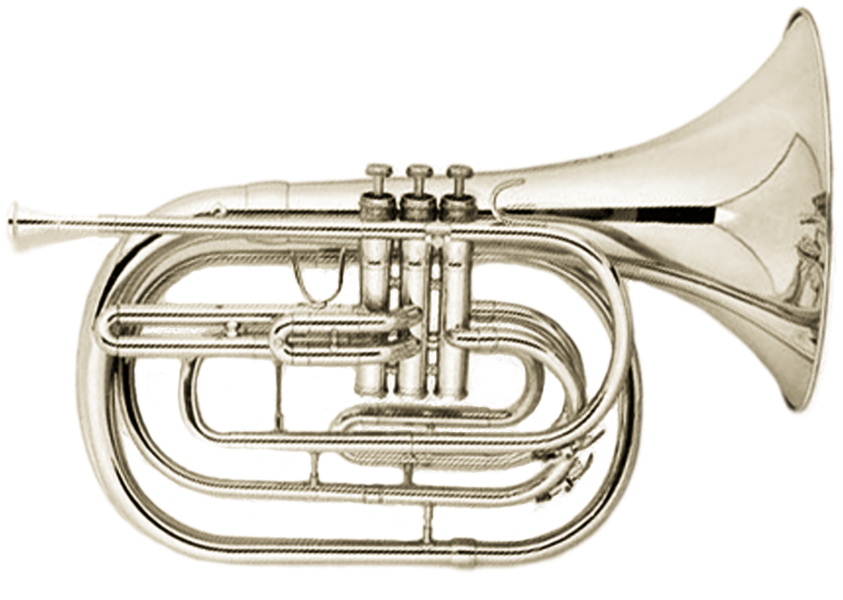 French Horn - French Horn (895x647)
