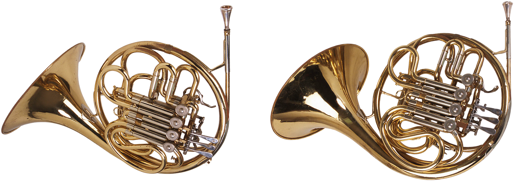 Brass Instruments French Horns Trumpet Musical Instruments - French Horn Note Cards (pk Of 20) (1920x703)