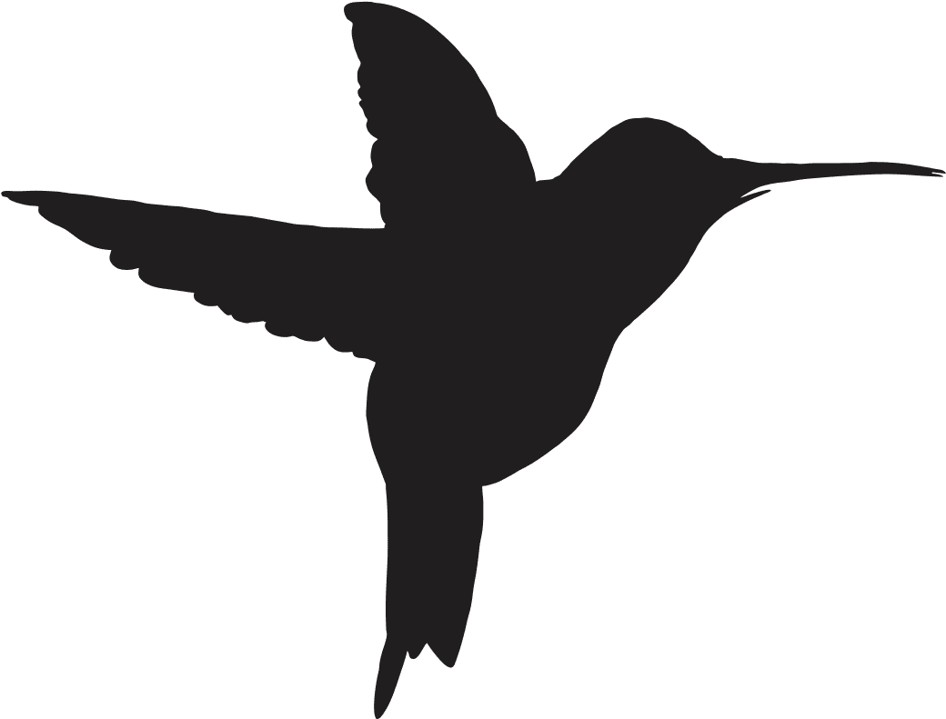 Need For Speed Hummingbird Computer Software Drawing - Beija Flor Png (1251x1251)