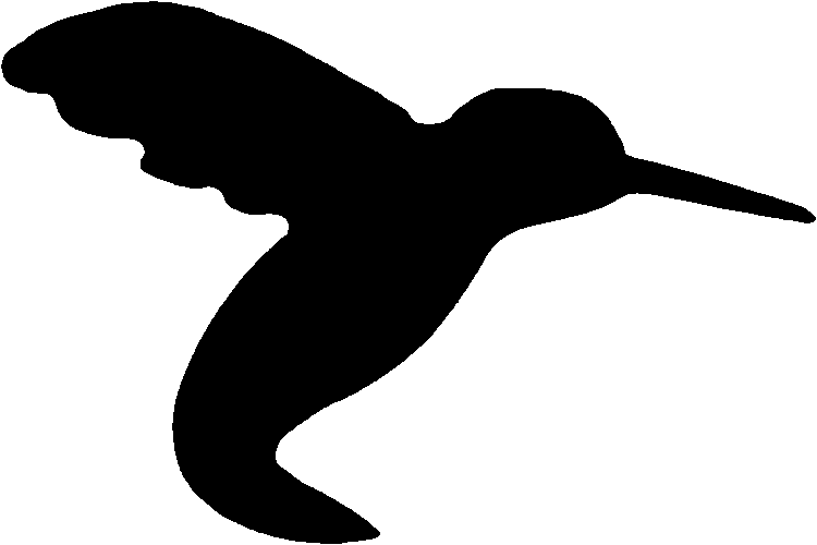 Transparent Black Hummingbird By Fantasystock - Clip Art (750x500)