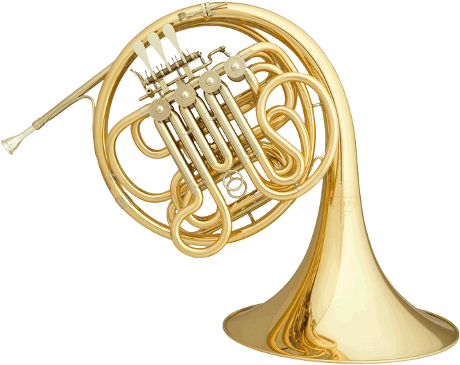 French Horn - Hans Hoyer 801-l (700x700)