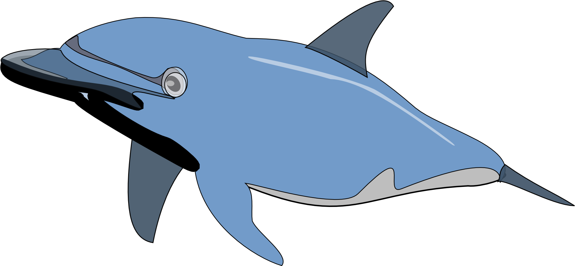 Common Bottlenose Dolphin Clip Art - Dolphin Clip Art (1920x960)