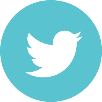 Connect With Us - Transparent Background Twitter Logo (350x350)