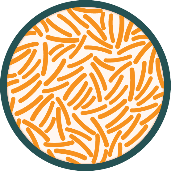 Back To Step - Bacteria Growth Clipart (554x553)