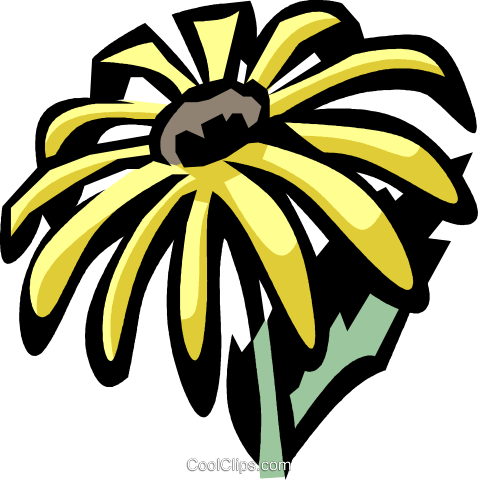 Black-eyed Susan - My Early Burglary Years (478x480)