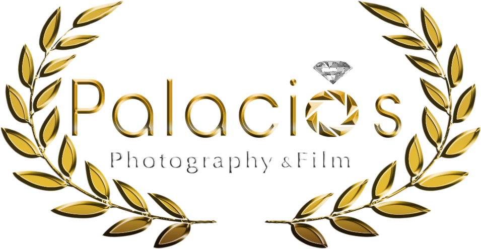 Wedding Logo Crest - Wedding Logo Crest (1000x558)