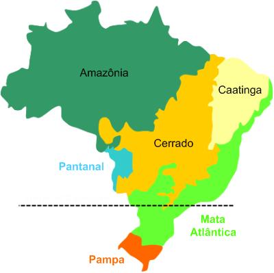 Adopted Synonym Download - Brazil Biomes (400x399)