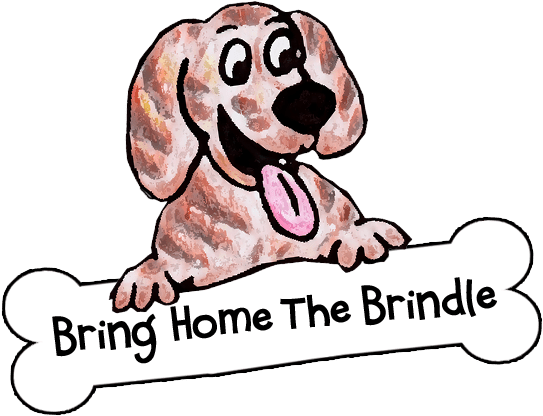 Puppy Adoption Clipart 4 By Gordon - Animal Rescue Group (550x425)