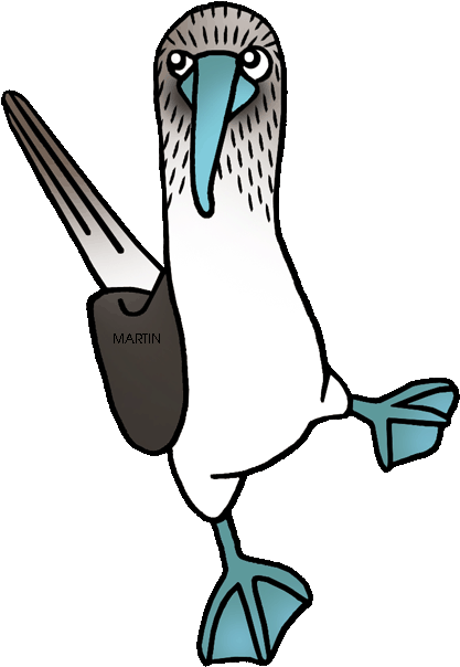 Blue Footed Booby - Blue Footed Booby Clipart (453x648)