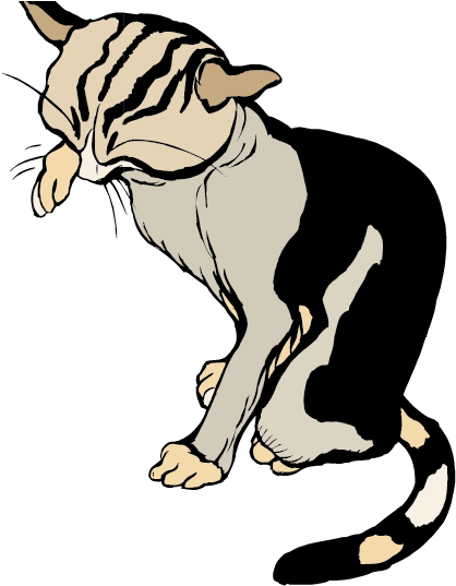 Cat Whiskers Tiger Cartoon Clip Art - Cat Whiskers Tiger Cartoon Clip Art (842x596)