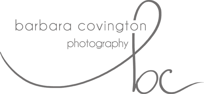 Barbara B Covington Photography Georgia Based Modern - Circle (650x299)