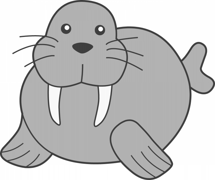 Walrus Coloring Pages Clip Art Library Arts Related - Walrus Clip Art (728x609)