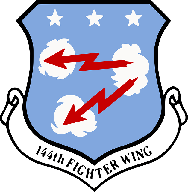 Emblem, Air, National, California, Guard, Fighter - 144th Fighter Wing (628x640)