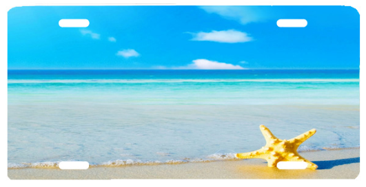 Starfish On Beach - Summer Beach (600x400)
