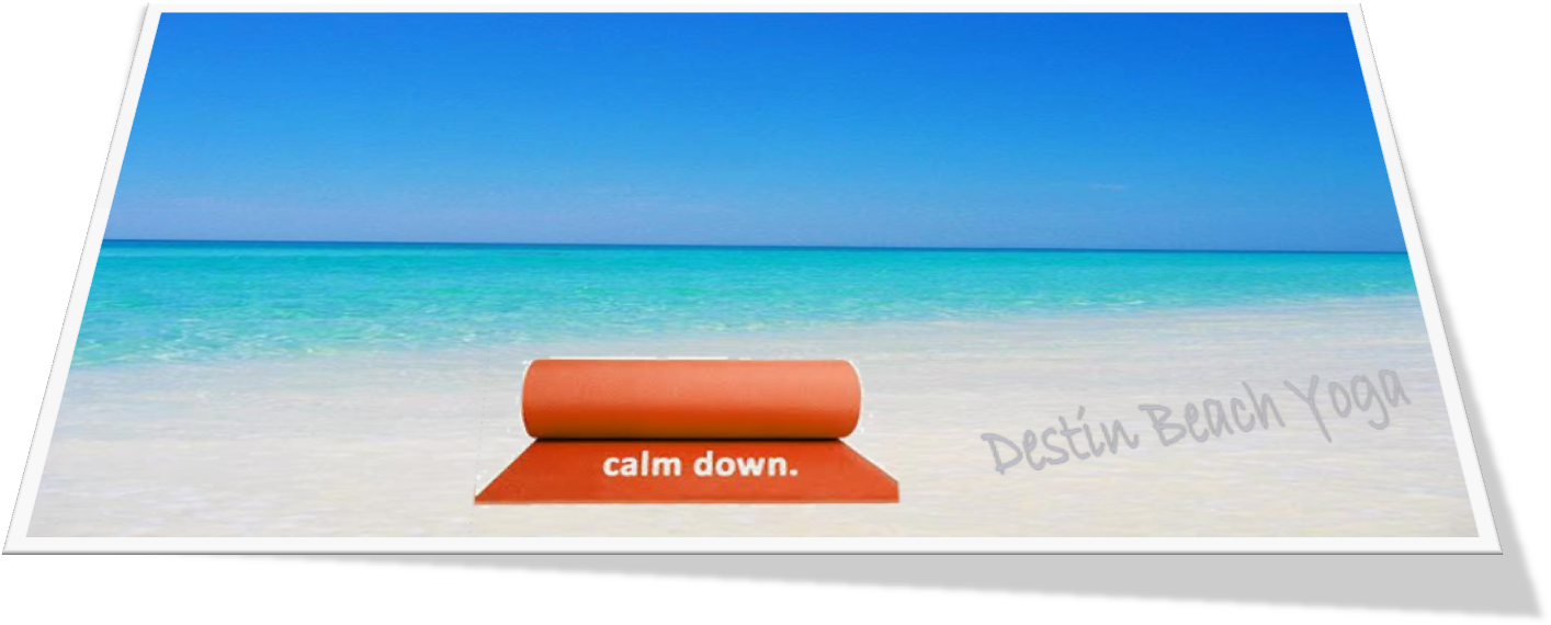 Check Out The New Live Beach Cam - Sea (1457x578)