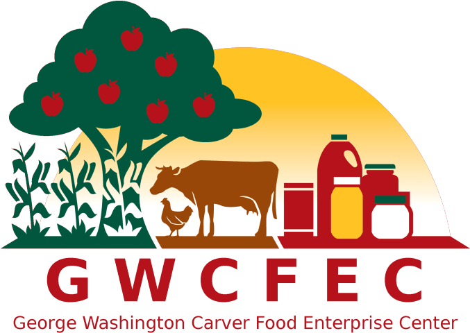 Vision Statement (676x494)