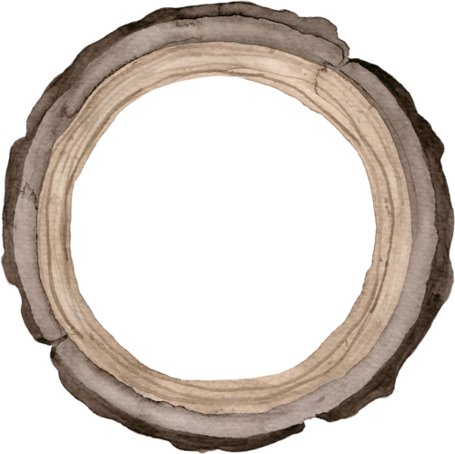 Album - Circle (500x499)