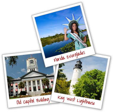 Liberty Tax Florida - Florida State Capitol (393x381)