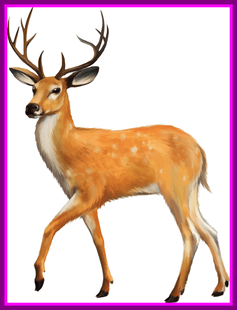 Lion Clipart Lion Lying Down Clipart Stunning Png Clip - Png Wild Deer (821x1074)