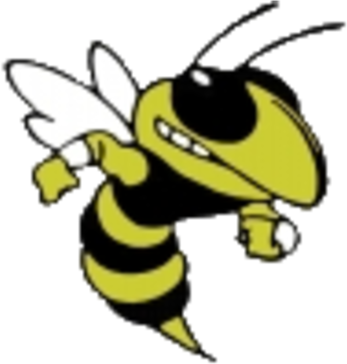 Thomas County Central Yellow Jackets (720x720)
