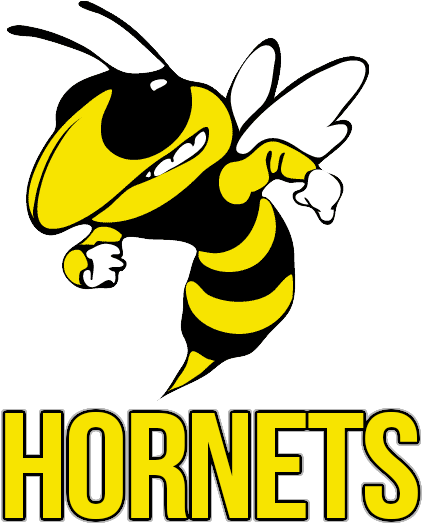 Mascot Hornets Team Varsity 2017 18 Colors Gold, White - T. L. Hanna High School (577x545)