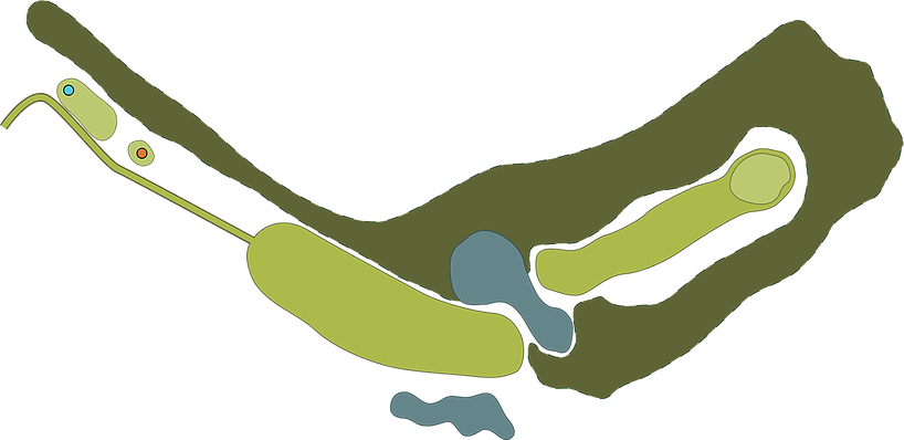 Augusta Is One Of High Legh Parks Signature Holes - Illustration (818x398)