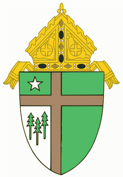 Filecoat Of Arms Of The Roman Catholic Diocese Of Tyler - Roman Catholic Diocese Of Tyler (415x599)
