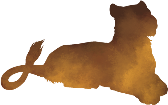 Chocolate Cake Cocoa Solids Felidae Cocoa Bean - Lion (640x500)