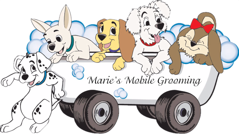 No More Scheduling Drop Offs And Pickups - Pet Grooming Clip Art (799x449)