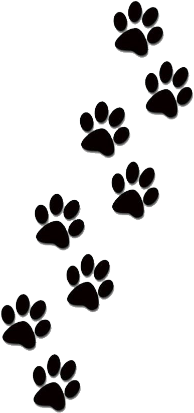 Dog Paw Prints (474x958)