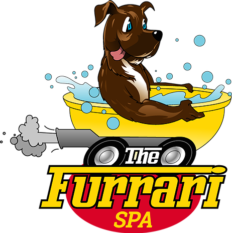 Dog Grooming Patterson Lakes - The Furrari Spa (462x464)