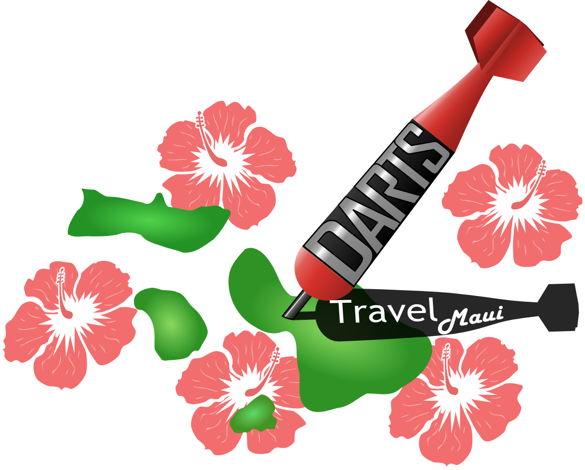 Education Logo Design For A Company In United States - Chinese Hibiscus (1200x964)
