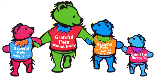 About Us Page For Grateful Pets Professional Dog & - Dog Grooming (500x260)